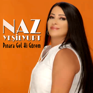 Pınara Gel Ki Görem