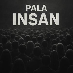 Insan