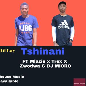 Tshinani