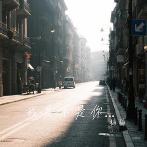 我在春天等你  (Cover 杨钰莹)