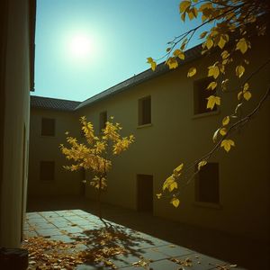 我的爱没前奏（英文氛围版）