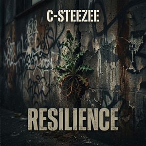 Resilience