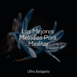 Árboles Que Se Balancean