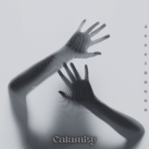 Calamity