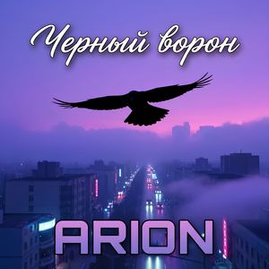 Чёрный ворон