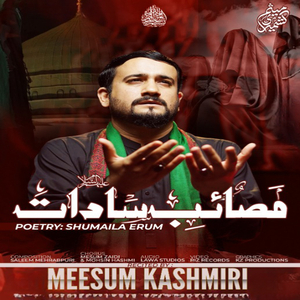 Tajdaar E Karbala