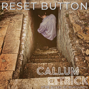 Reset Button