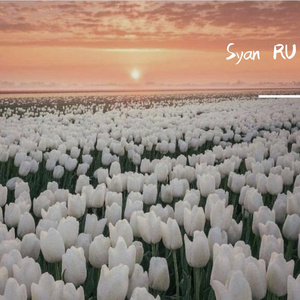 【Beat】花海′告白′甜歌′&Pop Guitar Type Beat