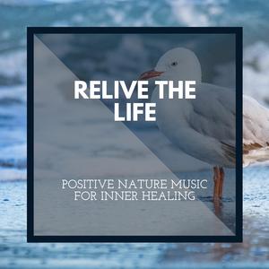 To the Calming Ocean