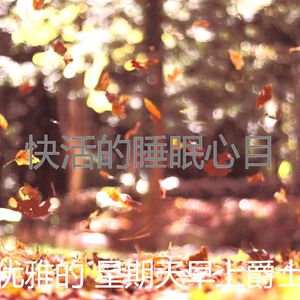 柔和的午餐时刻