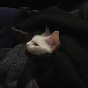 你是否也在想我l