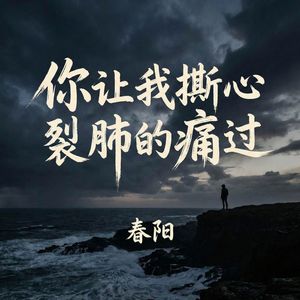你让我撕心裂肺的痛过