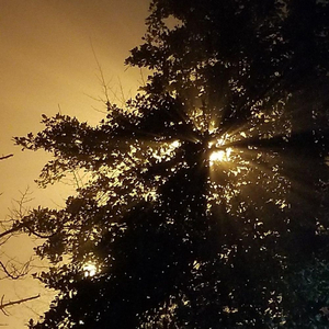 i used to think i loved u // then i sobered up