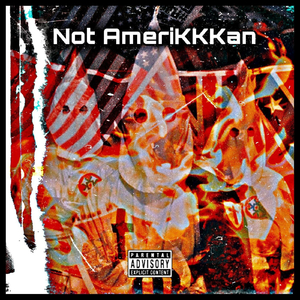 Not Amerikkkan