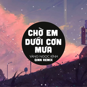 Chờ Em Dưới Cơn Mưa (Qinn Remix)