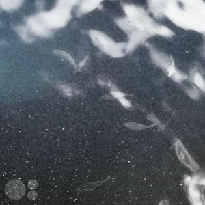 Sounds Like It's Raining