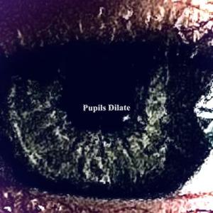 Pupils Dilate