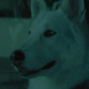 CONVIVE (feat. Elsamurai)