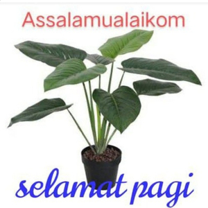 pagi.u