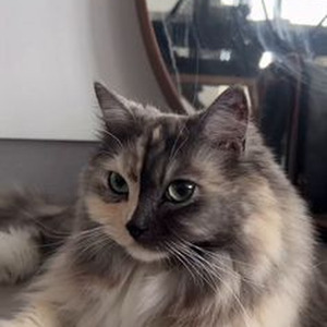 Treat You Better (sped up)