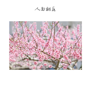 似水流年 (温暖版)