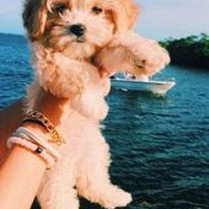 All You Had To Do Was Stay (Sped Up)