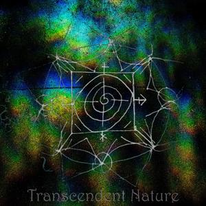 Born of Hermaphroditus