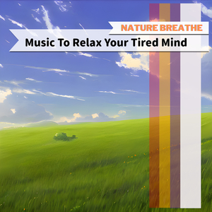 The Sound of a Candle