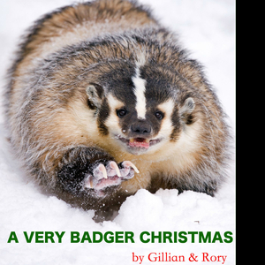 I'll Be Home for Christmas