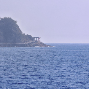 Miss Z(pord by GOAT MUSIC)