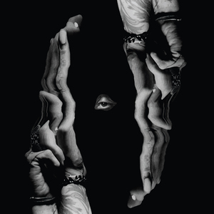 Bodies
