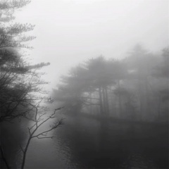 心不诚不必周旋