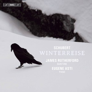 Winterreise, Op. 89, D. 911 (Arr. for Baritone & Piano):No. 19, Täuschung