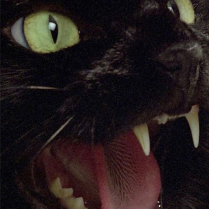 Gothic Black Cats (feat. 13thall)