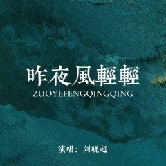 昨夜风轻轻 (DJ默涵版)