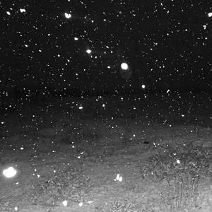 黑利群(Prod Daisy Beat)