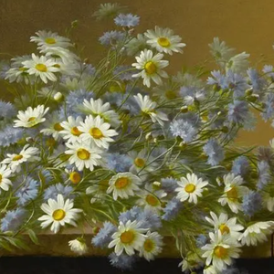 [FREE] Acoustic guitar Type Beat “香水味”