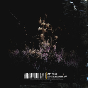 В соцветии забытых нами дней (feat. Баркас & Get Cold)