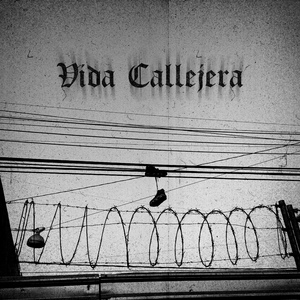 Vida Callejera