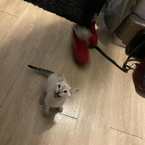 jamz (feat. Playboy Twon)