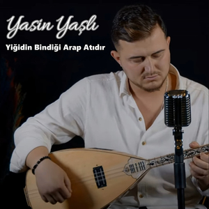 Yiğidin Bindiği Arap Atıdır