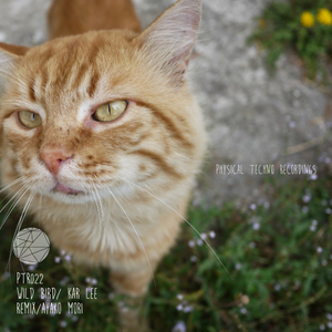 Phantom Acid (Original Mix)