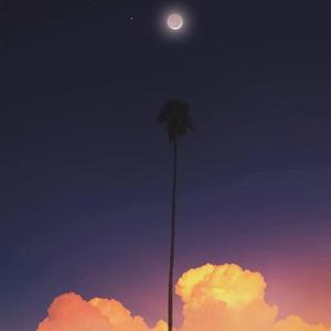 化身孤岛的鲸（自由版）