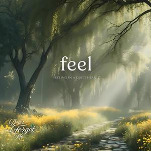 Feeling in a Quiet Heart