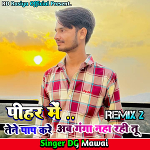 पीहर में तेने पाप करें अब गंगा नहा रही तू (Remix 2)