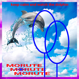 keep calm and watch the dolphin