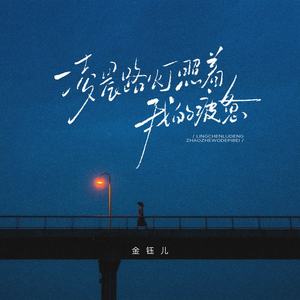 凌晨路灯照着我的疲惫 (DJ秋毫版)