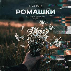 Ромашки