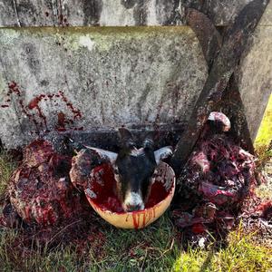 i love u 2 much dude if you gave me up id die