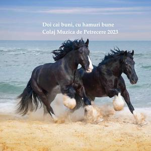 Doi cai buni, cu hamuri bune Colaj Muzica de Petrecere 2023